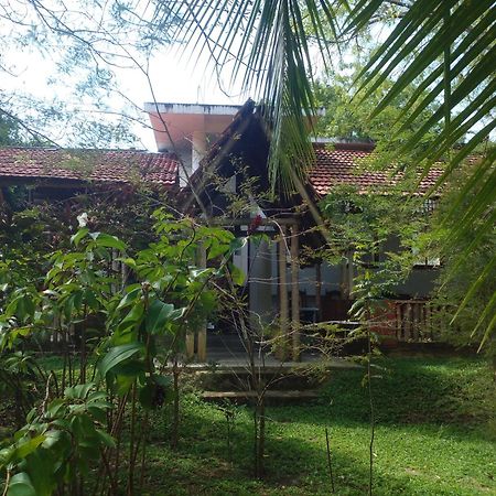 Home In The Island تانجالي المظهر الخارجي الصورة