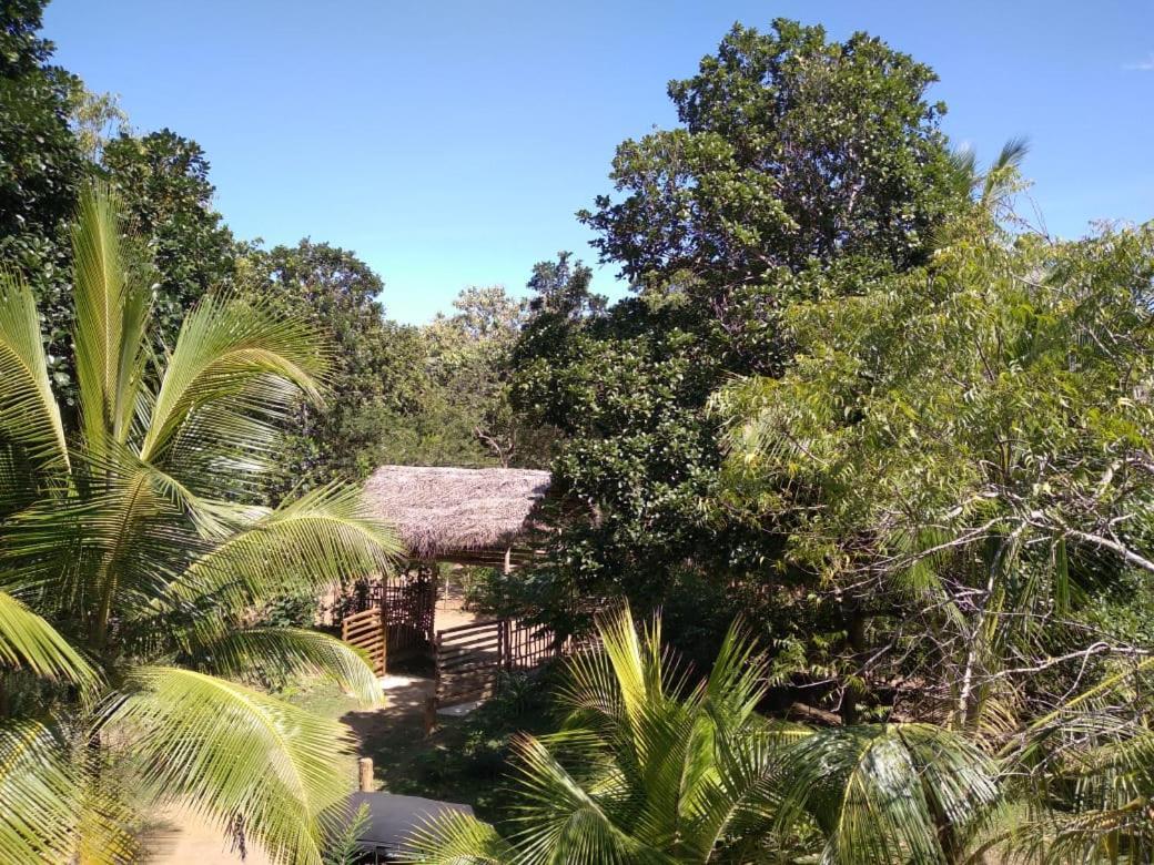 Home In The Island تانجالي المظهر الخارجي الصورة