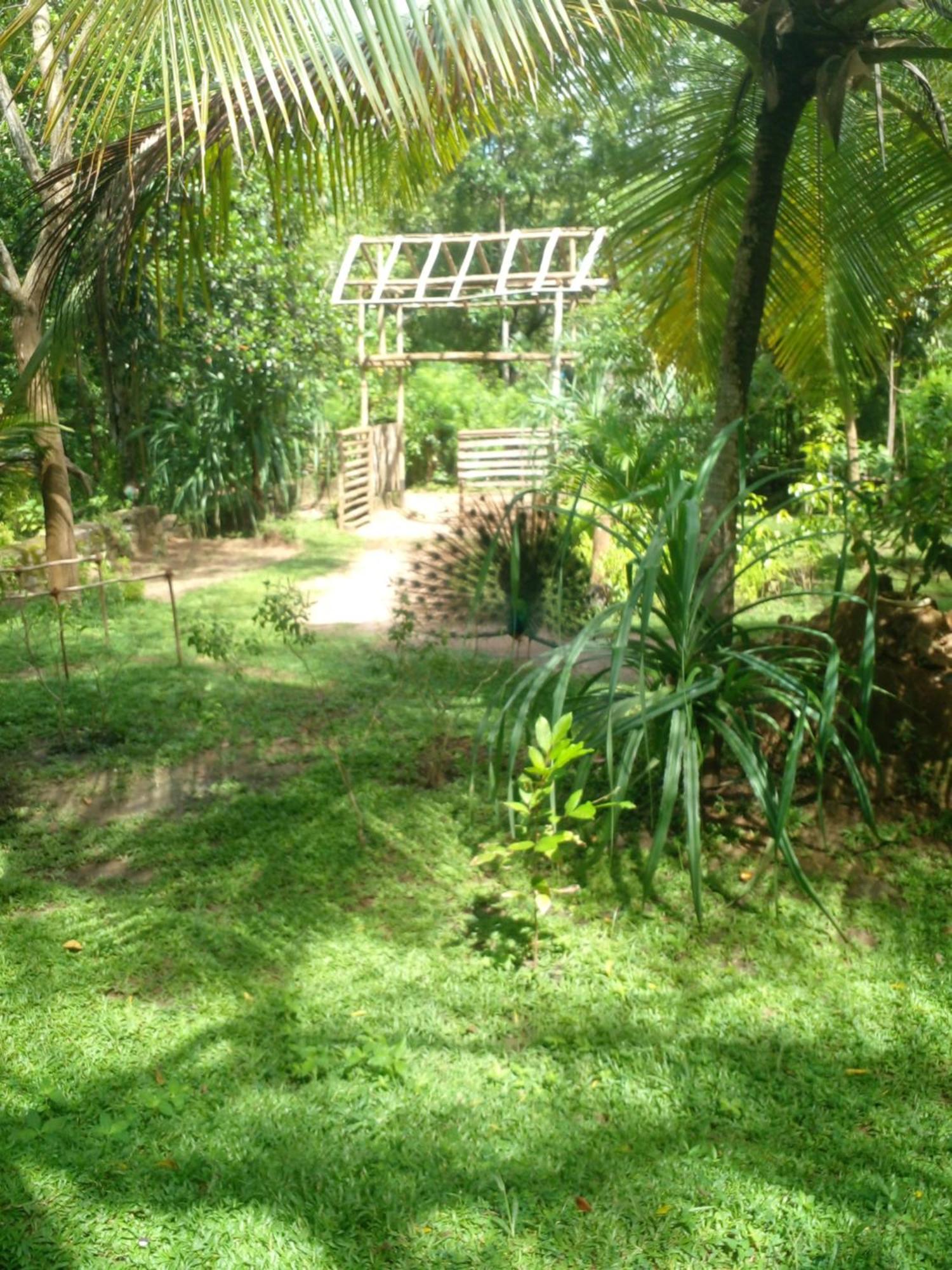 Home In The Island تانجالي المظهر الخارجي الصورة