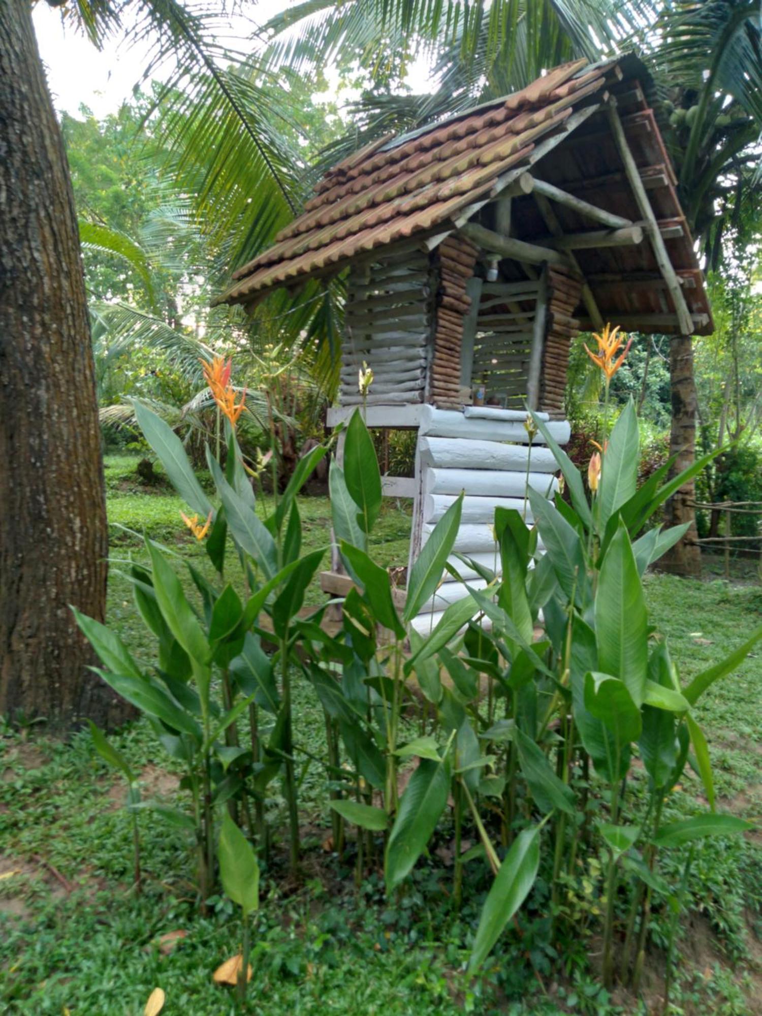 Home In The Island تانجالي المظهر الخارجي الصورة
