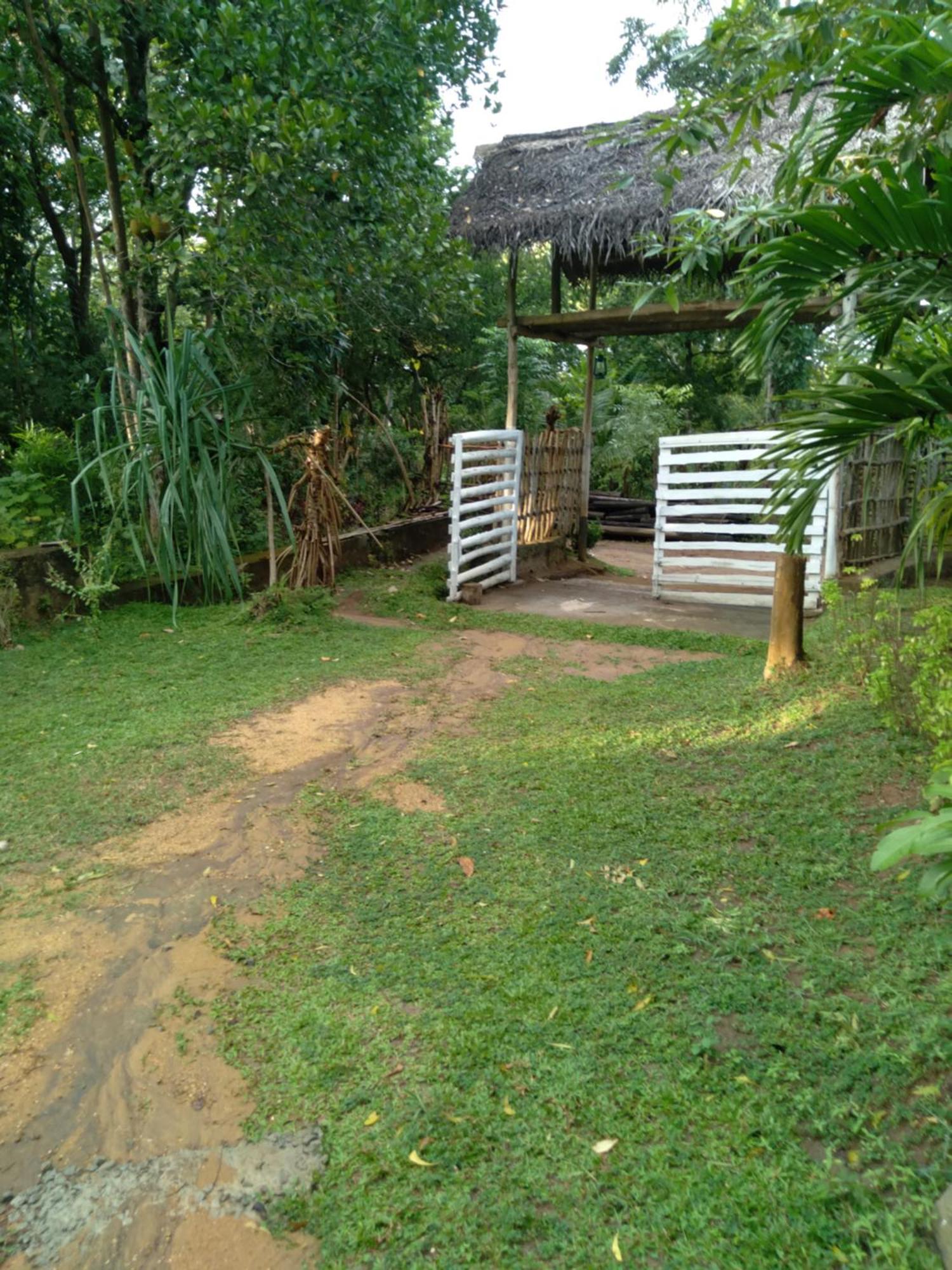 Home In The Island تانجالي المظهر الخارجي الصورة