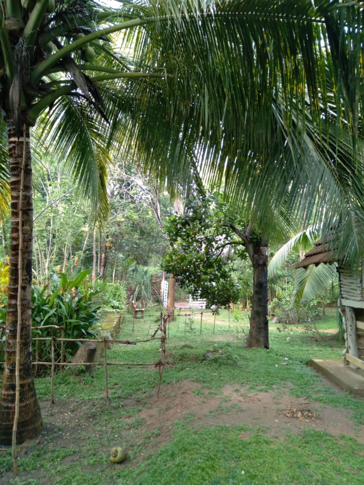 Home In The Island تانجالي المظهر الخارجي الصورة