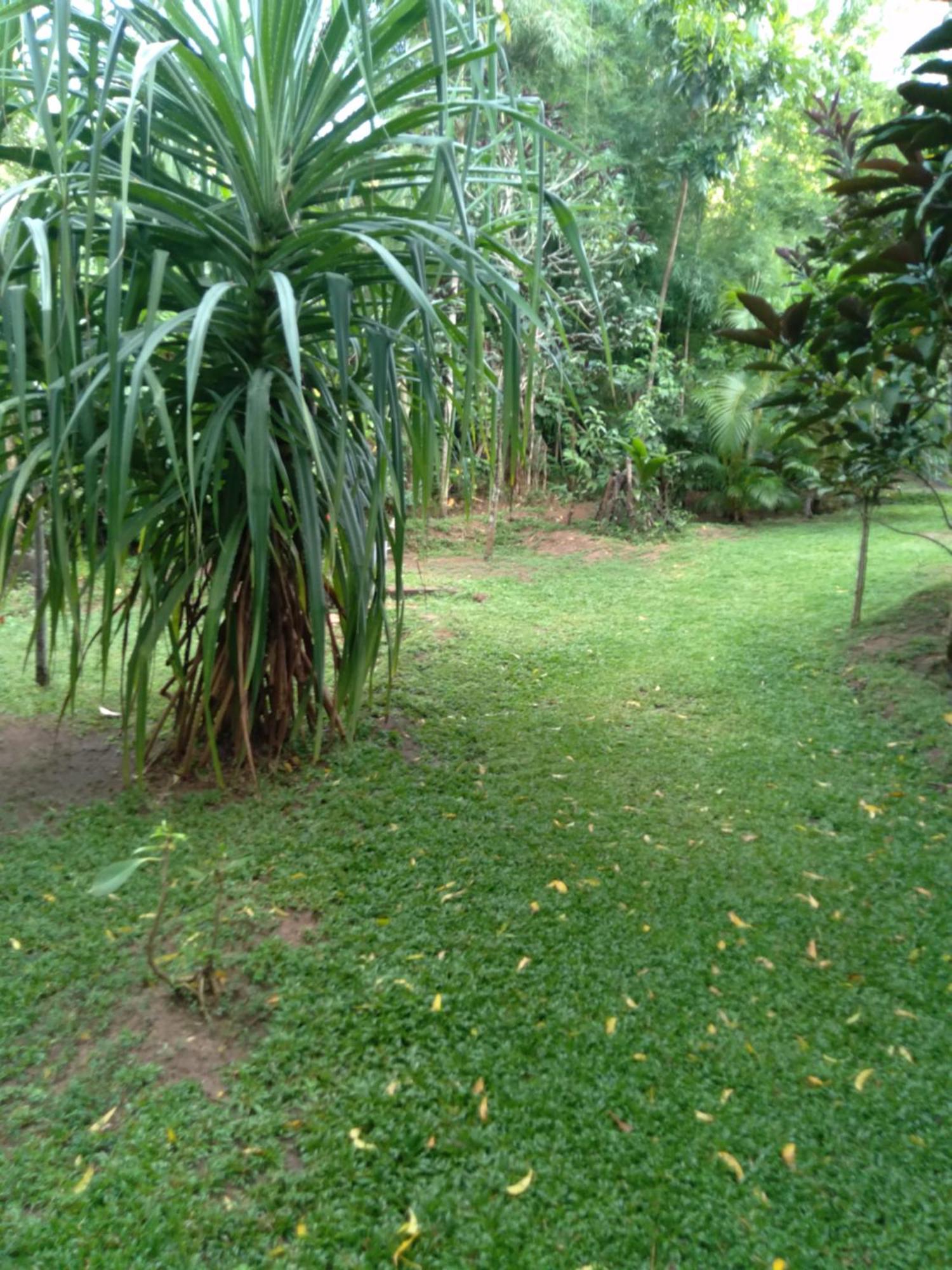 Home In The Island تانجالي المظهر الخارجي الصورة